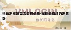 VMLogin官网 - 指纹浏览器,跨境电商超级浏览器,VM浏览器