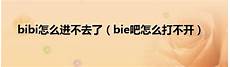 bibi怎么挂台湾服务器