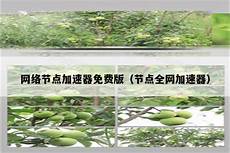 台湾原生服台湾原生服务器地址 务器地址, 该网民的行为被认