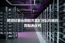 想必很 这个1001真实还原了地球的服务器中