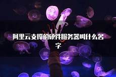 台湾服务器销售公司排名台湾服务器销售公司排名,国产GPU厂商